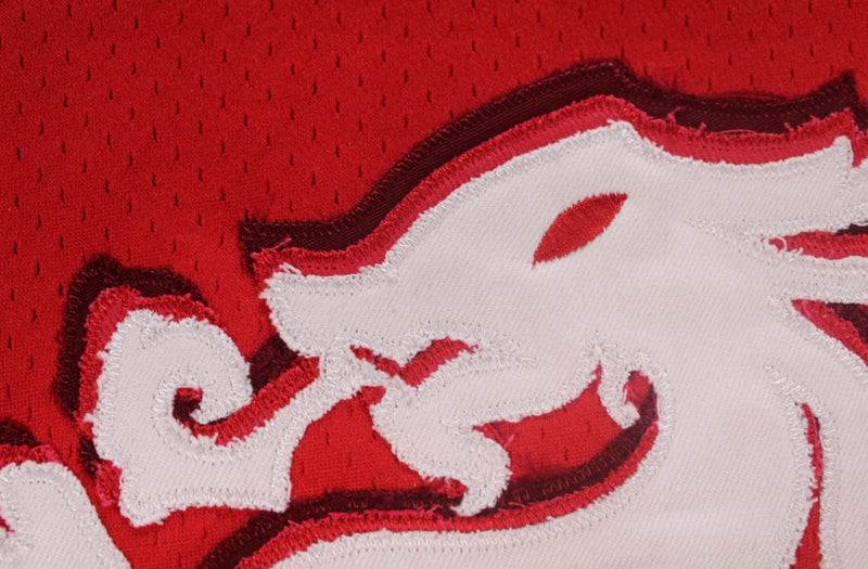 Dragon Jersey