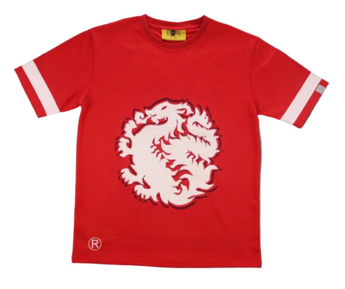 Dragon Jersey